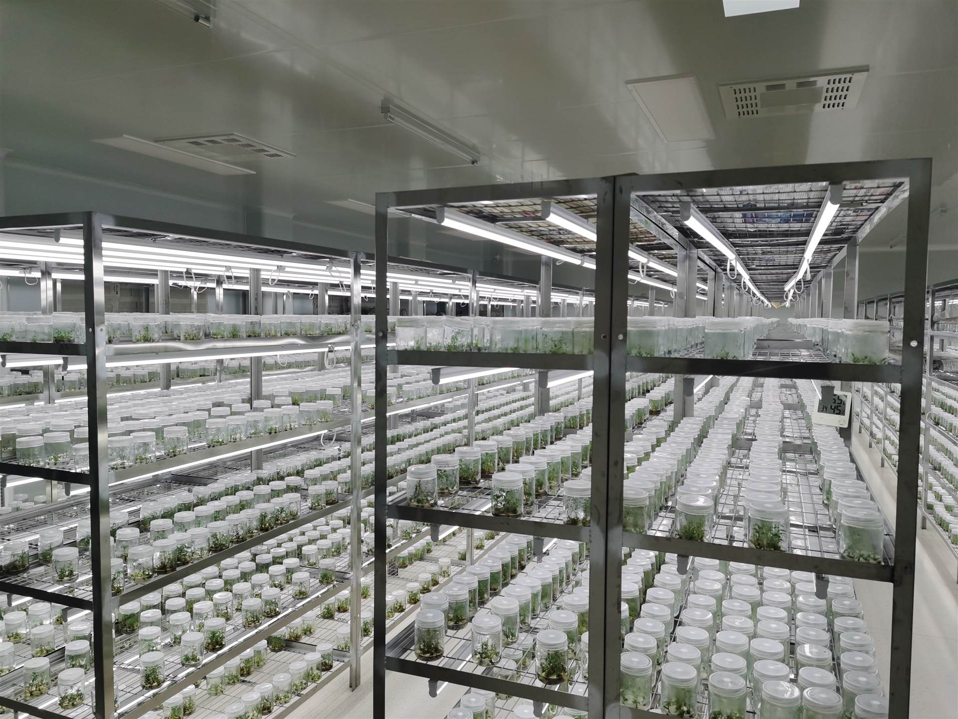 組培室凈化工程該如何設(shè)計(jì)?設(shè)計(jì)等級(jí)是什么?